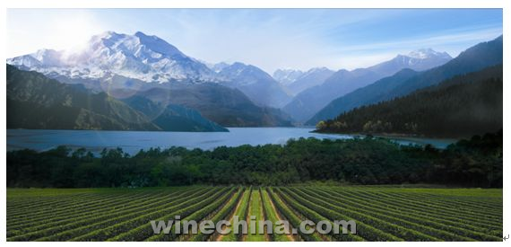 焉耆县加大葡萄酒相关产业招商引资 推动葡萄酒加工提质升级