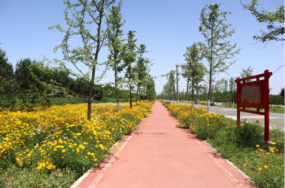 许昌市建安区陈曹乡 乡村振兴按下快进键 葡萄酒加工铺就致富路